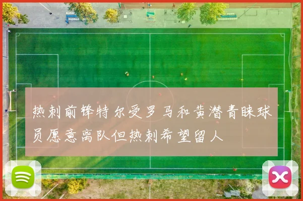 热刺前锋特尔受罗马和黄潜青睐球员愿意离队但热刺希望留人