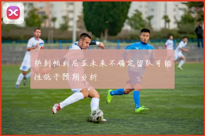 热刺帕利尼亚未来不确定留队可能性低于预期分析