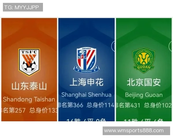 中超球队身价排行榜揭晓海港领衔申花国安泰山紧随其后